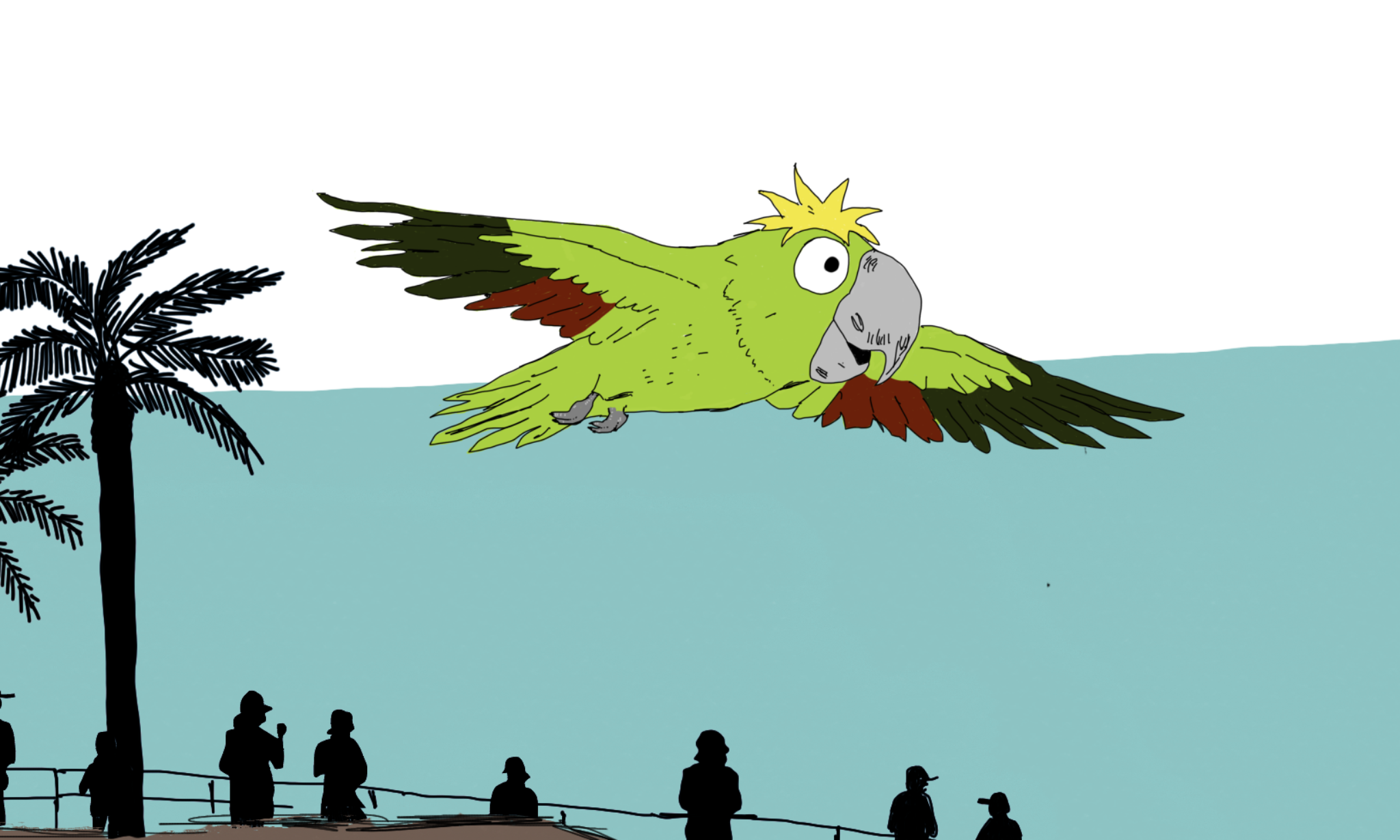 Pico the Parrot at La Jolla Shores