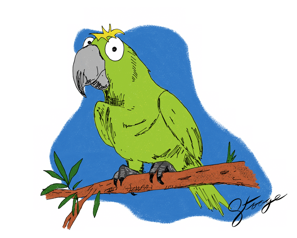 Pico the Parrot - Limited Edition Print