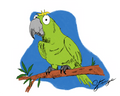 Pico the Parrot - Limited Edition Print